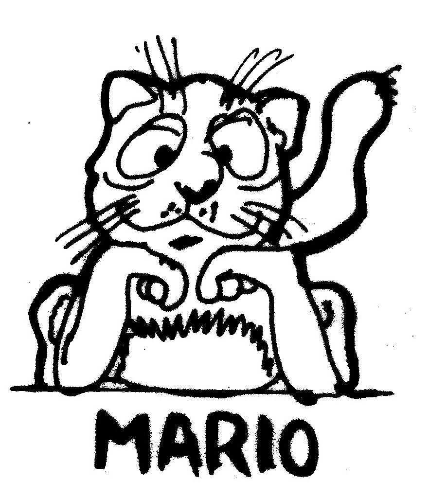 Mario